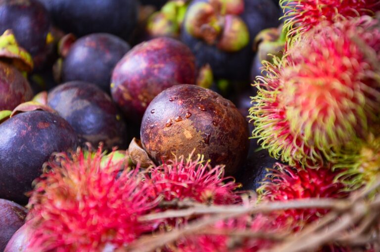 Exploring the Potential of Virtual Reality in In-Store Shopping