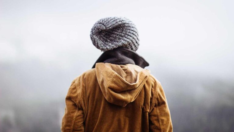 How To Chat With Reddy Book Online Support?